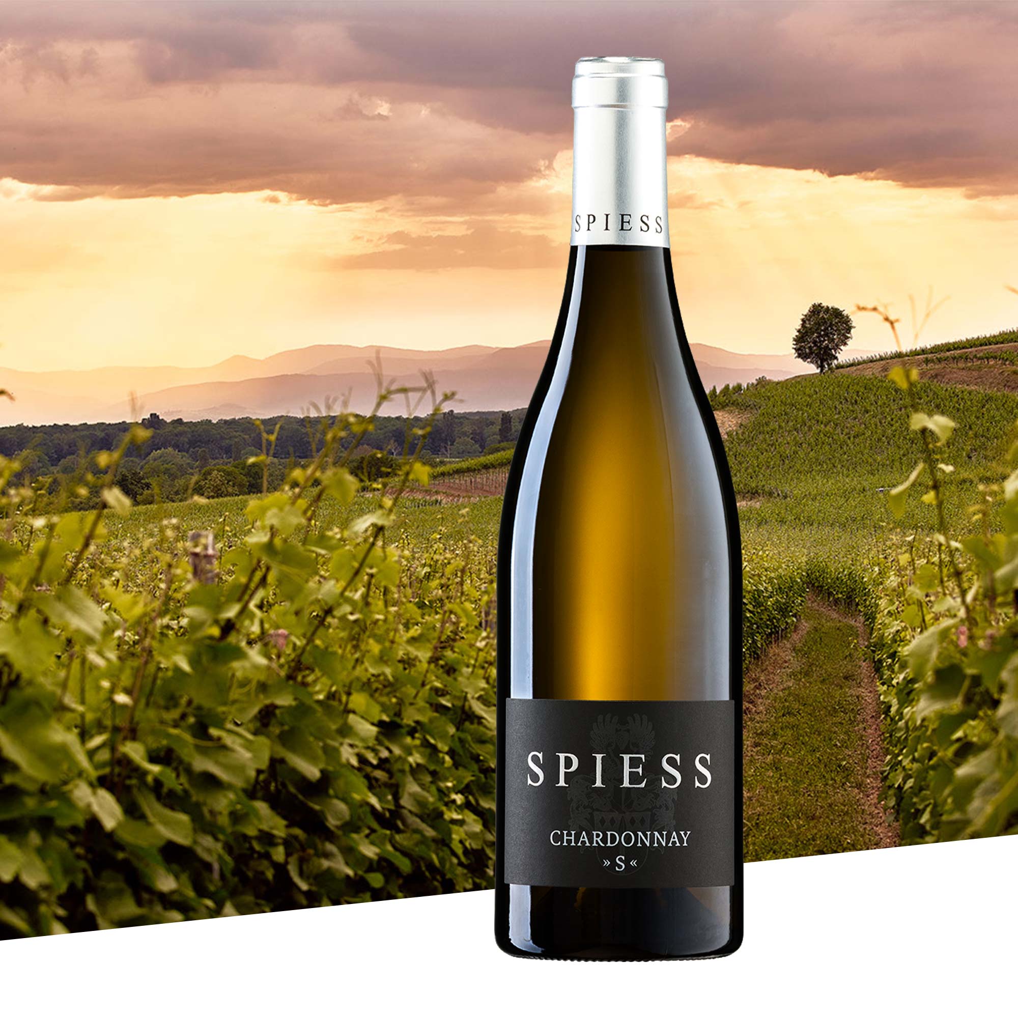 Chardonnay "S" trocken 2021, Weingut Spiess